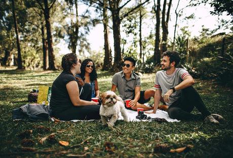 Planning the Perfect Picnic Day: Key Things to Consider for a Fun and Relaxing Experience