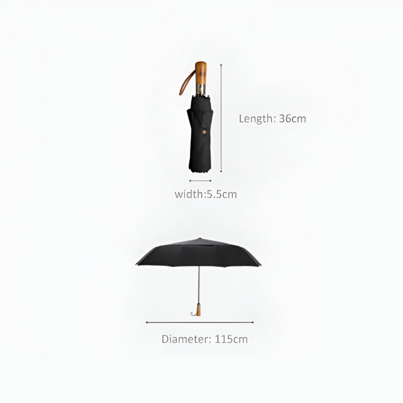 Großer automatischer Windproof-Regenschirm