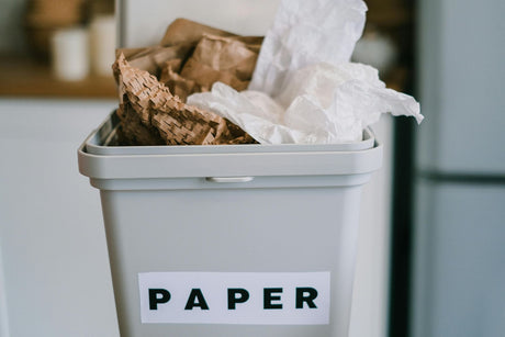 Eco-Friendly Household Products for Sustainable Living