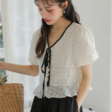 Vintage Lace Puff Sleeve V-Neck Shirt