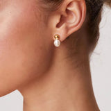 Women's Fashion Pearl Silver Ear Studs - Dazpy