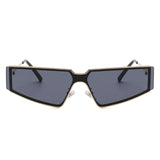 Flat Top Rectangle Sunglasses