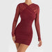 Sheer Long Sleeve Backless Bodycon Mini Dress