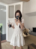 Women's Lace-Edge V-Neck Pleated Mesh Dress