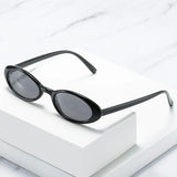 Chic Retro Oval Sunglasses for Women