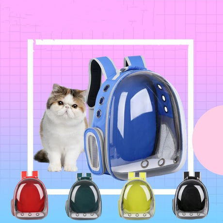 Pet Portable Cat Transparent Space Bag Backpack For Dogs - Dazpy