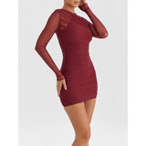 Sheer Long Sleeve Backless Bodycon Mini Dress