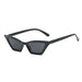 Cat Eye Sunglasses