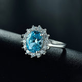 Light Luxury Rings Exquisite Simple And Versatile 925 Silver Ins Style Design Jewelry - Dazpy