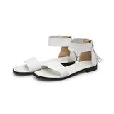 College Style Low-heel Square Heel Zipper Casual Sandals - Dazpy