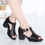 Mother Shoes Thick Heel Buckle Sandals Women - Dazpy