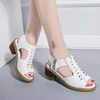 Summer New Mid Heel Sandals Female Fashion Fish Mouth Zipper Thick Heel Sandals - Dazpy