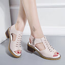 Summer New Mid Heel Sandals Female Fashion Fish Mouth Zipper Thick Heel Sandals
