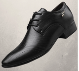 Business dress shoes - Dazpy