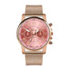 Stainless Steel Strap Watch for Women - Dazpy