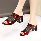 Mesh Mid-heel Sandals Women Waterproof Platform Fish Mouth Thick With Rhinestone Outer Wear - Dazpy