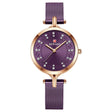 Women's Fashion Mesh Band Watch - Dazpy