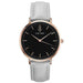 Luxury Quartz Stainless Steel Women's Watches - Dazpy