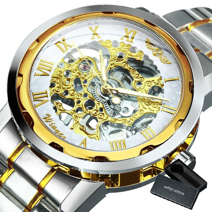 Men's Steampunk Style Mechanical Watch - Dazpy