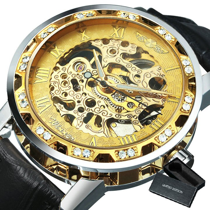 Luxury  Mechanical Wristwatches for Men with Skeleton Dial - Dazpy