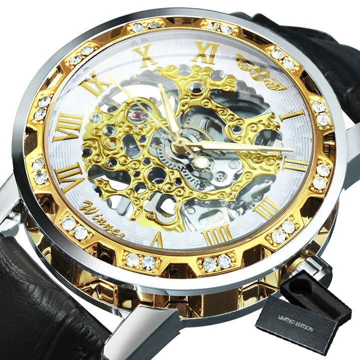 Luxury  Mechanical Wristwatches for Men with Skeleton Dial - Dazpy