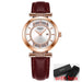 Transparent Dial and Leather Band Watches - Dazpy