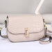 Small Square Top Layer  Lock Crossbody Shoulder Bag - Dazpy